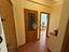 Immagine 14