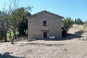 Rustico con terreni
