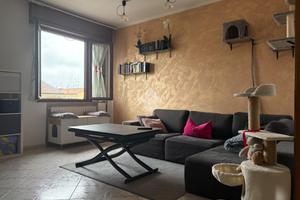 3 LOCALI A FERRARA
