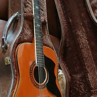 CHITARRA EKO RANGER 12E CON CUSTODIA