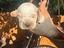 Immagine 3