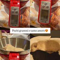 Barboncini Toy