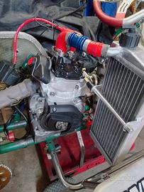 rotax max tony