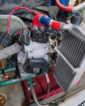 rotax max tony