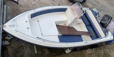 Motoscafa 5 m con motore e rimorchio homologato