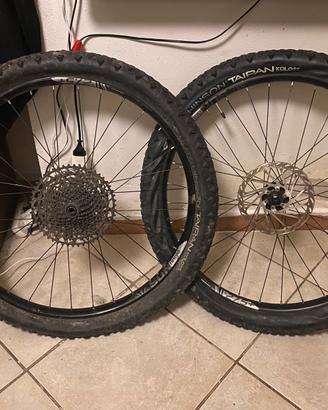 Ruote mtb Sun Ringlé con pneumatici taipan Koloss