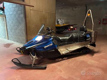 Motoslitta ARTIC CAT BEARCAT