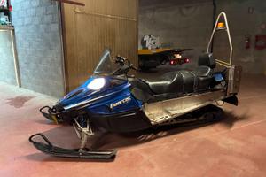Motoslitta ARTIC CAT BEARCAT
