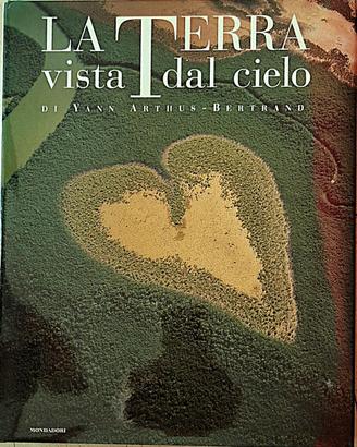 LA TERRA VISTA DAL CIELO