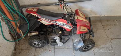 mini quad