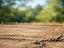 Immagine 9