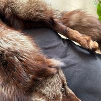 sciarpa/collo volpe intera