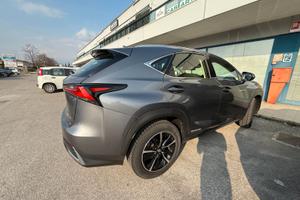 Lexus NX 300 NX I 2018 300h 2.5 Premium 4wd cvt