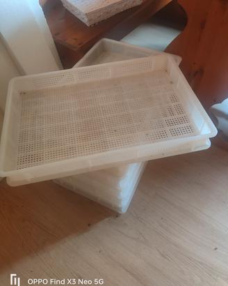 Vassoi in plastica