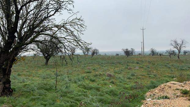 Terreno Zona Via Carpentino