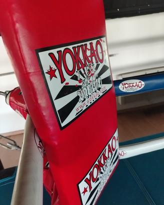 ring pugilato non regalamentare misure 6x6 mt