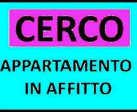 Appartamento cercasi