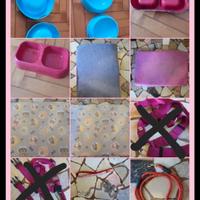 accessori cane