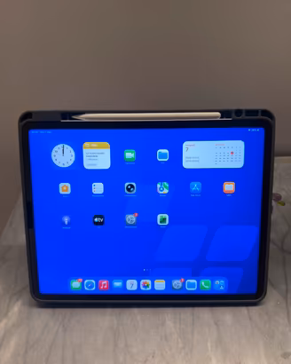Ipad Pro 13 pollici grigio 128gb wifi + cellular