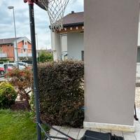 Canestro regolabile tarmak