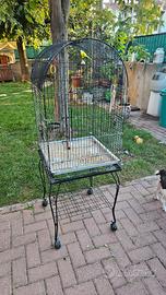 Gabbia pappagalli
