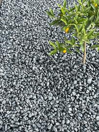 Ciottoli da giardino Nero Ebano