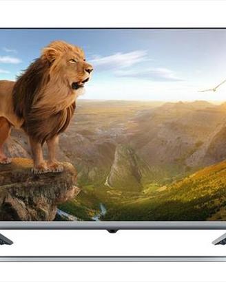 Televisore SABA 32"