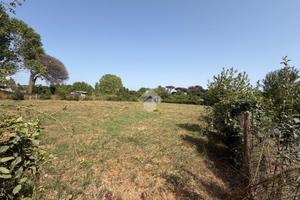 TER. AGRICOLO A ROMA