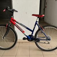 Bici mtb