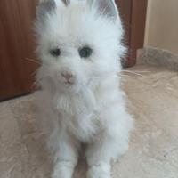 Gatto animatronico peluche FurReal