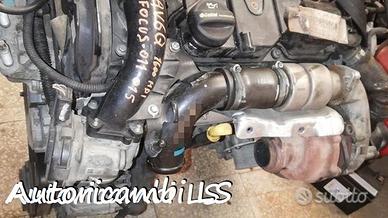 Motore Focus AV6Q- 1.6