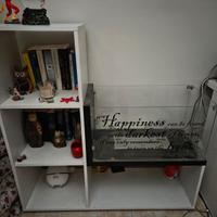 Biocamino con libreria