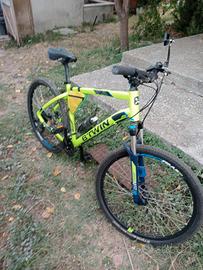 bicicletta