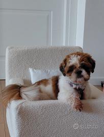 letto per cani di piccola taglia