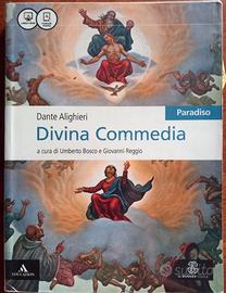 Divina Commedia- paradiso