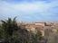 Immagine 7