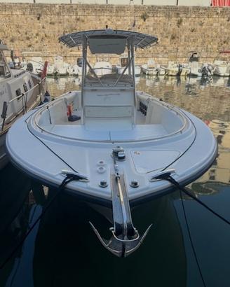 Robalo 260cc
