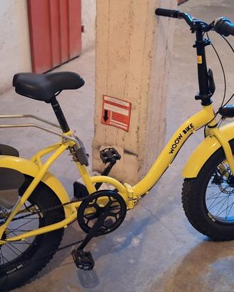 bici da passeggio 