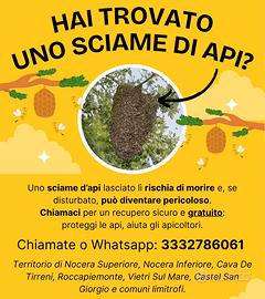 Recupero sciami d'api