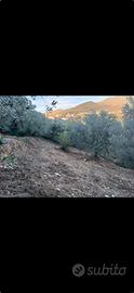 Terreno agricolo con potenziale edificabile
