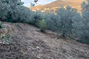 Terreno agricolo con potenziale edificabile