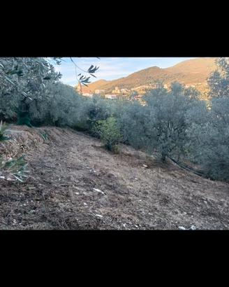 Terreno agricolo con potenziale edificabile