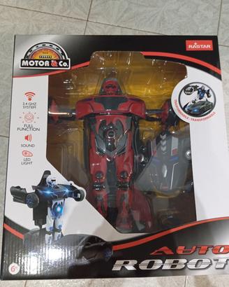auto robot motor&co