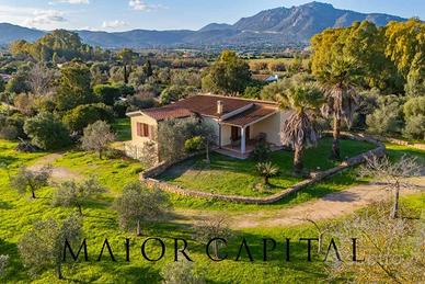 Olbia | Villa panoramica con ampio terreno privato