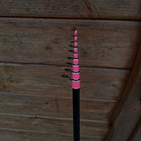 Canna Megaforce 42ML trota lago modificata