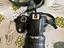 Immagine 2