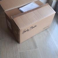 Harley Benton tube 15 head