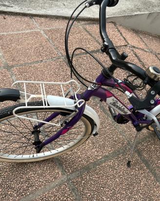 Bicicletta