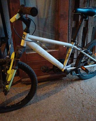bici da bambino 20