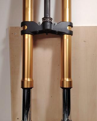 Forcella completa ohlins ducati multistrada 1200 S